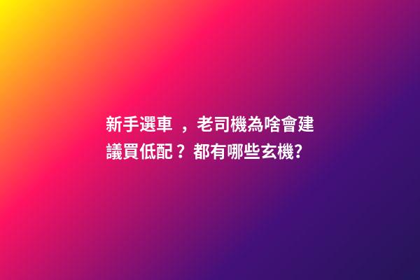 新手選車，老司機為啥會建議買低配？都有哪些玄機？